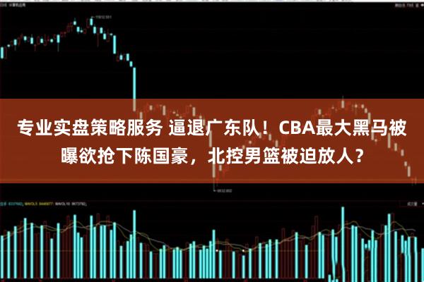 专业实盘策略服务 逼退广东队！CBA最大黑马被曝欲抢下陈国豪，北控男篮被迫放人？