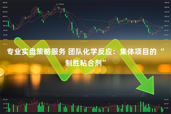 专业实盘策略服务 团队化学反应：集体项目的 “制胜粘合剂”